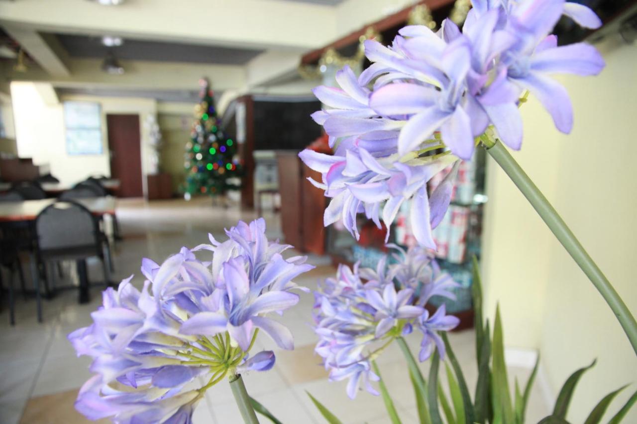 Pandu Lakeside Hotel Parapat Extérieur photo